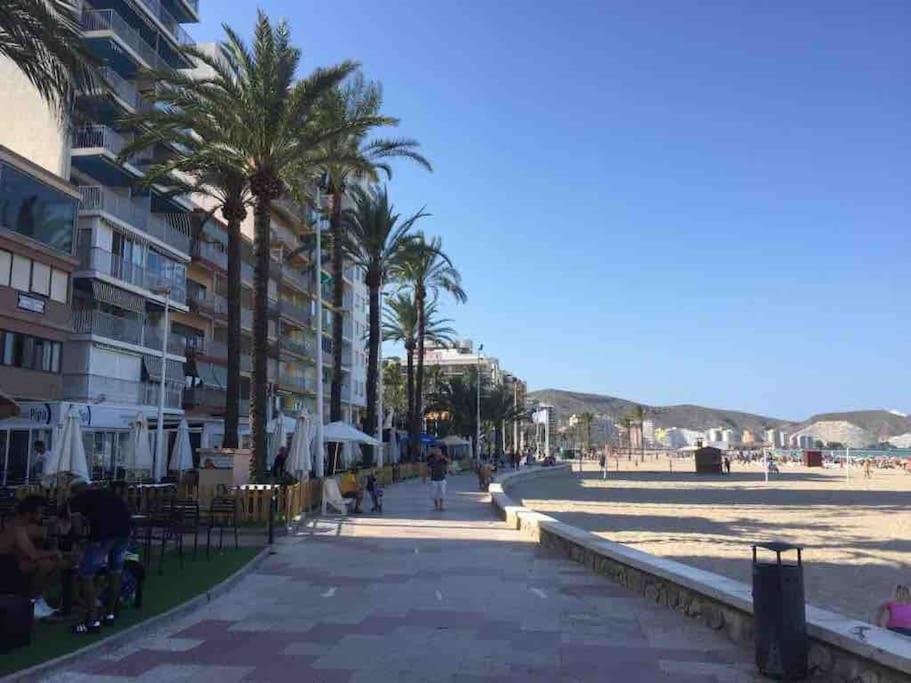 New Stylish Beach Front Apartment Cullera Eksteriør billede